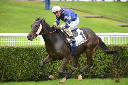 Actualités Hippiques